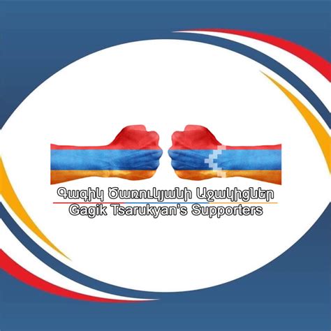 Գագիկ Ծառուկյանի գործը՝ որպես քաղաքական հետապնդում